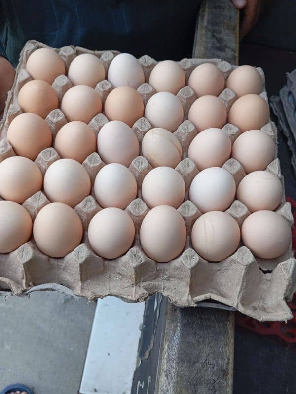 DESI FRESH EGGS FOR SALE 0