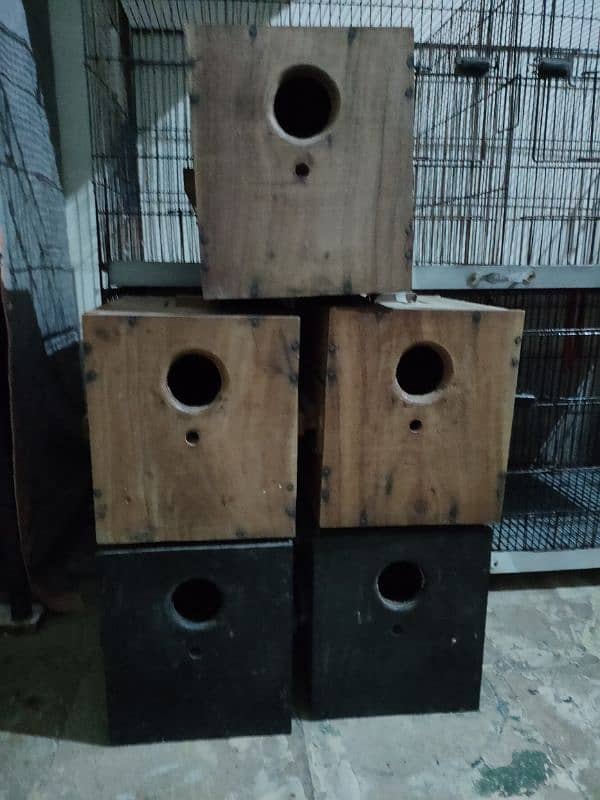 Cages + boxes rabtaa 0321.7242445 2