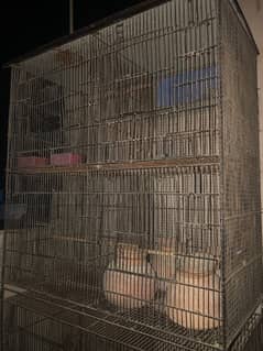 8 portion cage