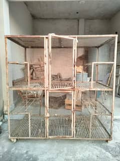 Master Cage for birds ( pinjra )