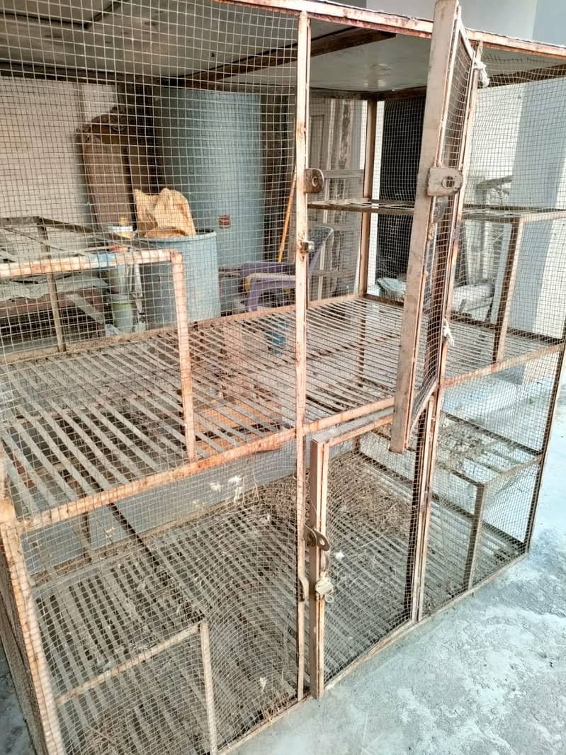 Master Cage for birds ( pinjra ) 1