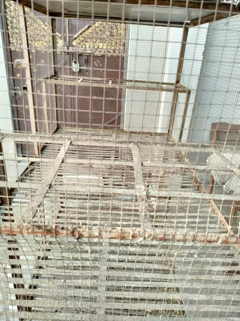 Master Cage for birds ( pinjra ) 2