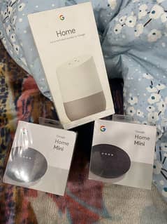 google home & home mini nest hub