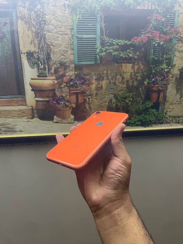 iphone xr 128gb 4