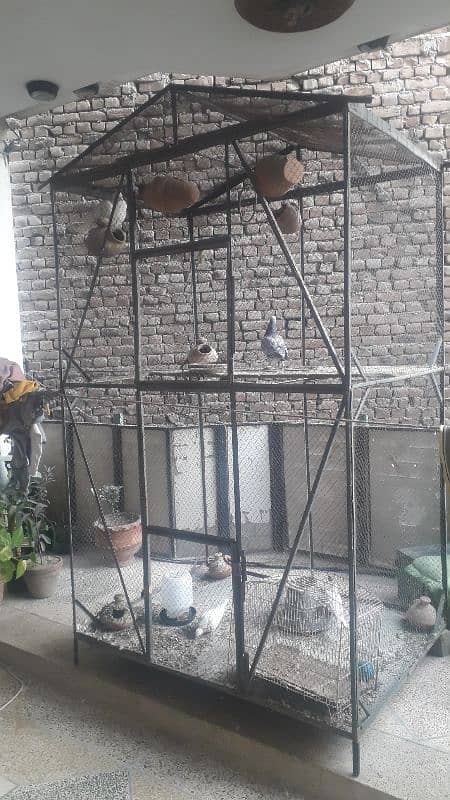 birds cage 1