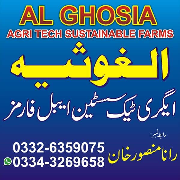 Commercial land house at Painsra Faisalabad Bahawalnagar 8