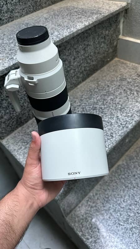 SONY 200-600mm Lens 3