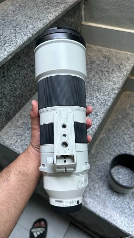 SONY 200-600mm Lens 5