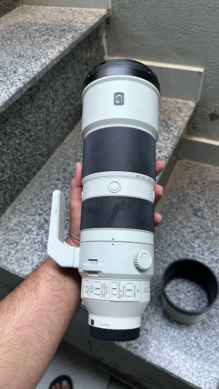 SONY 200-600mm Lens 6