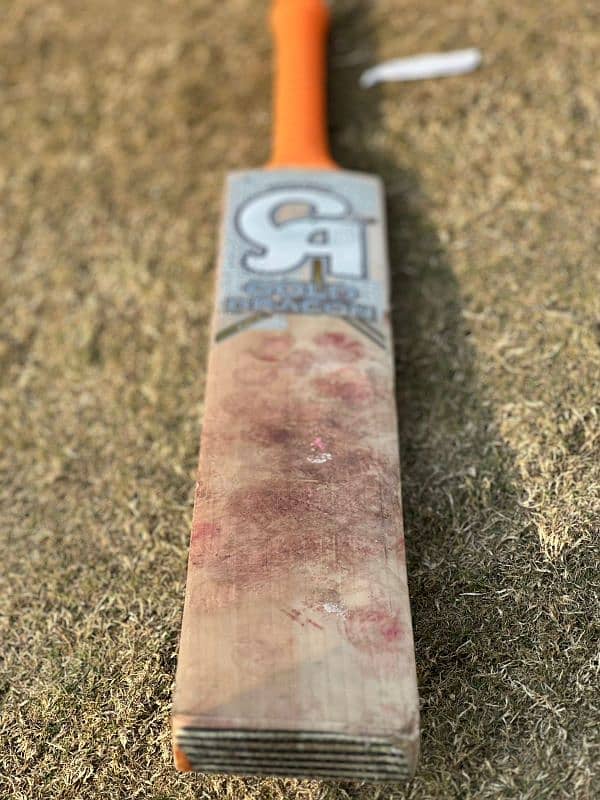 CA DRAGON Original bat for Sell 1