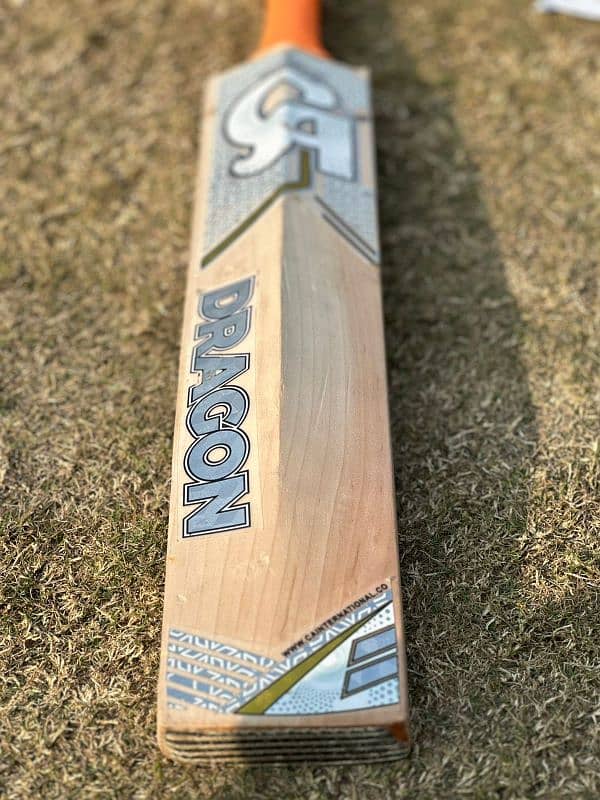 CA DRAGON Original bat for Sell 4