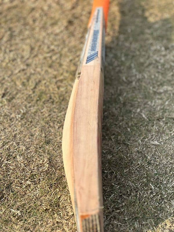 CA DRAGON Original bat for Sell 5