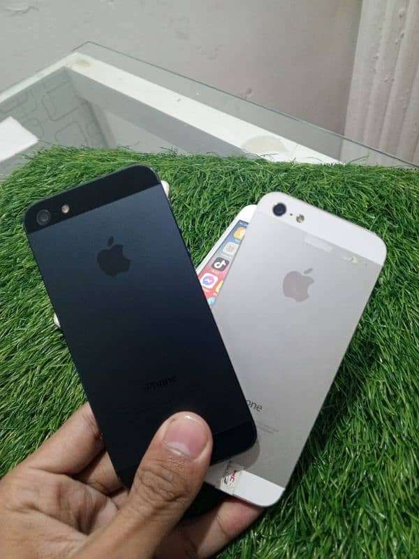 iphone 5 or 5s or 6 1