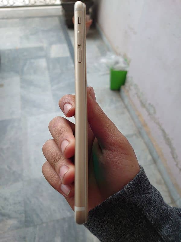 Iphone 6plus pta approved 2