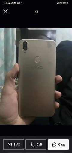 vivo