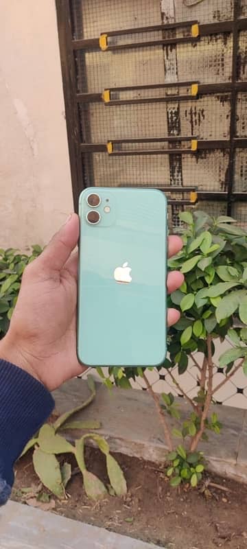 iPhone 11 non pta jv 64 GB 0