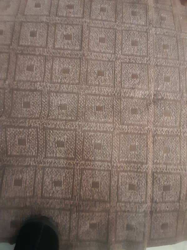 Beautiful Designed Carpet 0