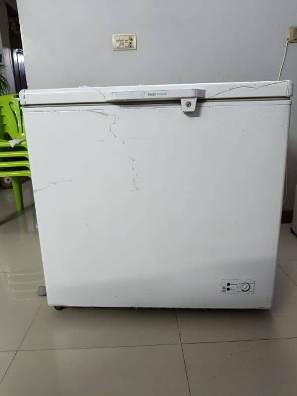 Haier Single Door Freezer 1