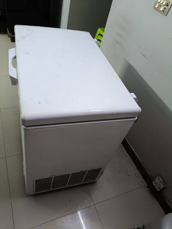 Haier Single Door Freezer 2