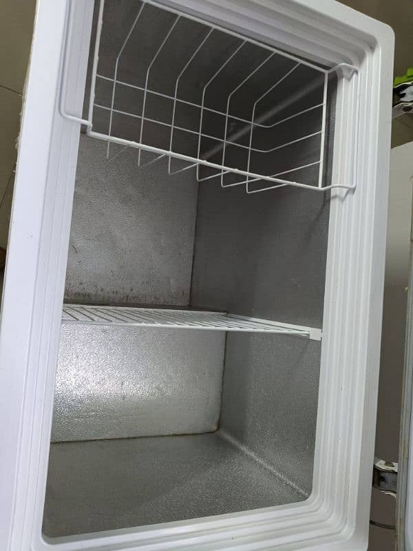 Haier Single Door Freezer 5