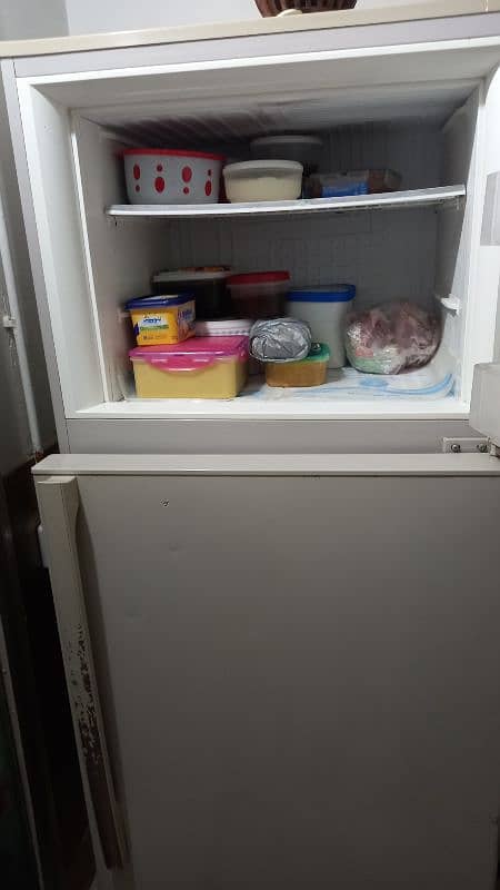 PEL ARCTIC FRIDGE FOR SALE 3