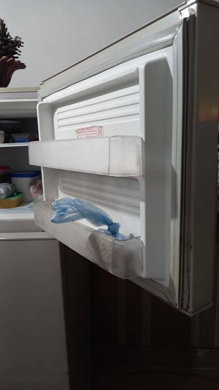 PEL ARCTIC FRIDGE FOR SALE 4