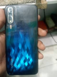 vivo