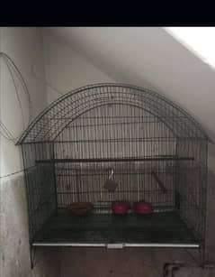 birds cage pinjra