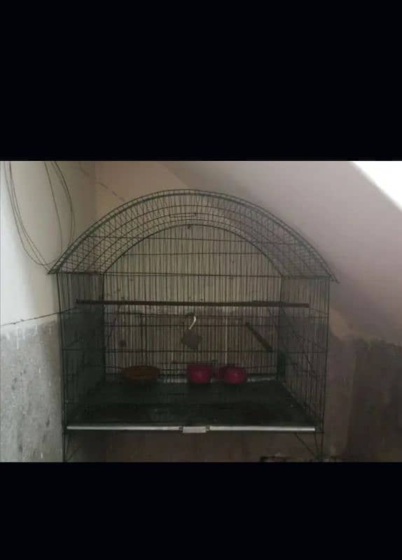 birds cage pinjra 2