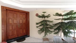 Good 45 Marla House For Sale In Bani Gala