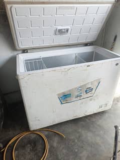 Single Door Deep Freezer Pel Company