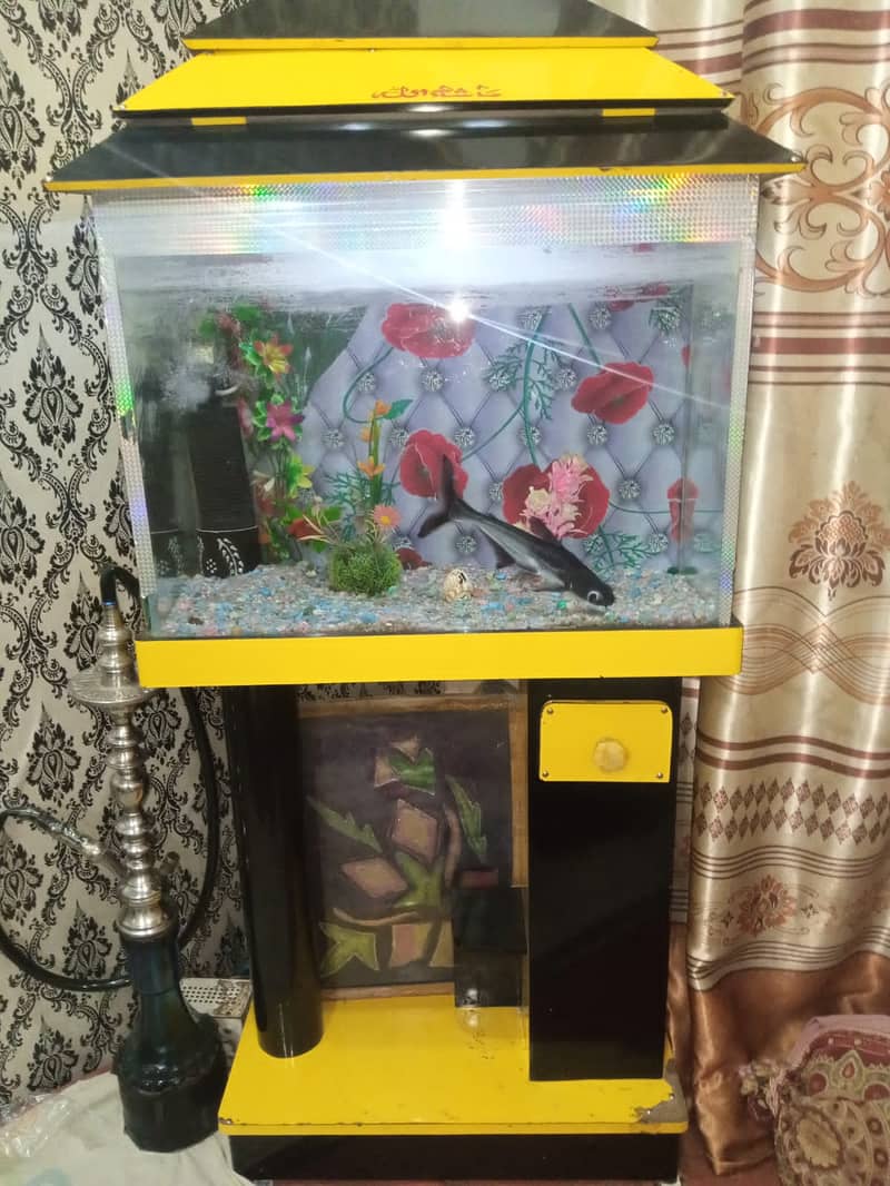 fish aquarium 0