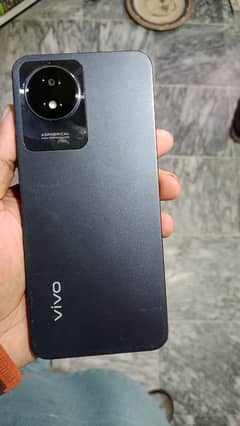 vivo