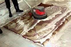 Sofa Carpet Cleaning &Water Tank Cleaning Service, Termite control 2