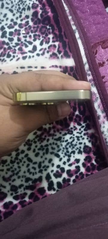 iphone 13 pro gold colour 2