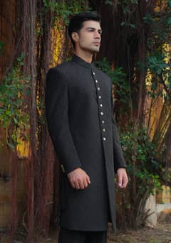 amir adnan sherwani