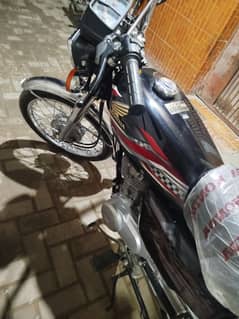 125 Honda 2024 for sale