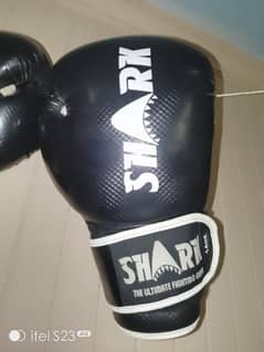 Boxing gloves Sharak