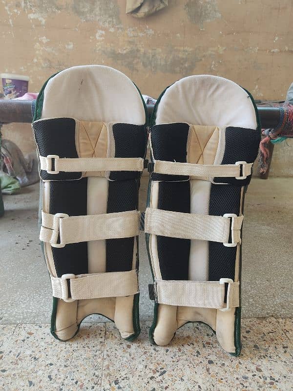 Cricket Batting Pads 1