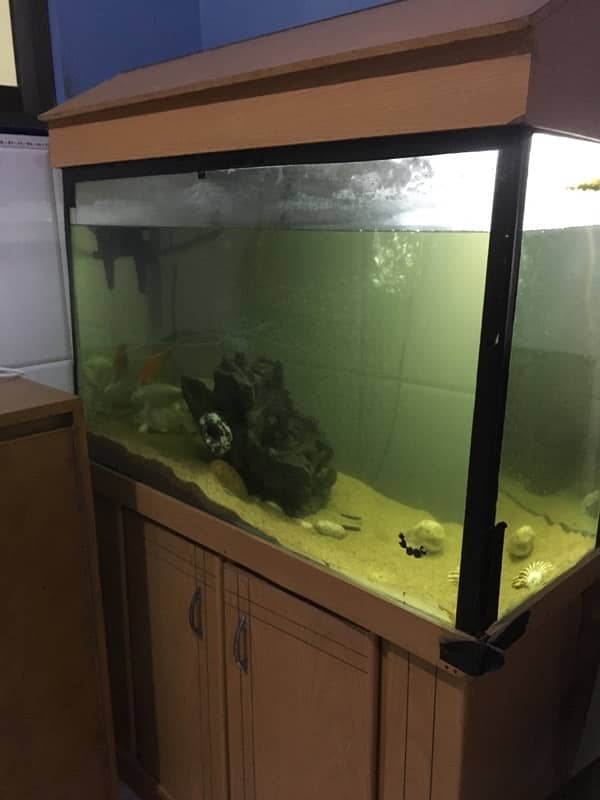 aqurium for sale 0