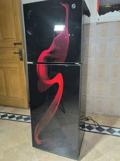 PEL Red Blaze Glass Door Refrigerator – Repaired & Fully Functional