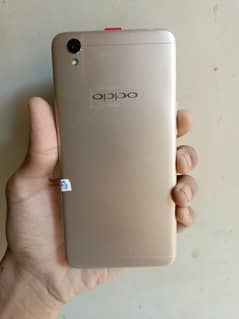 OPPO