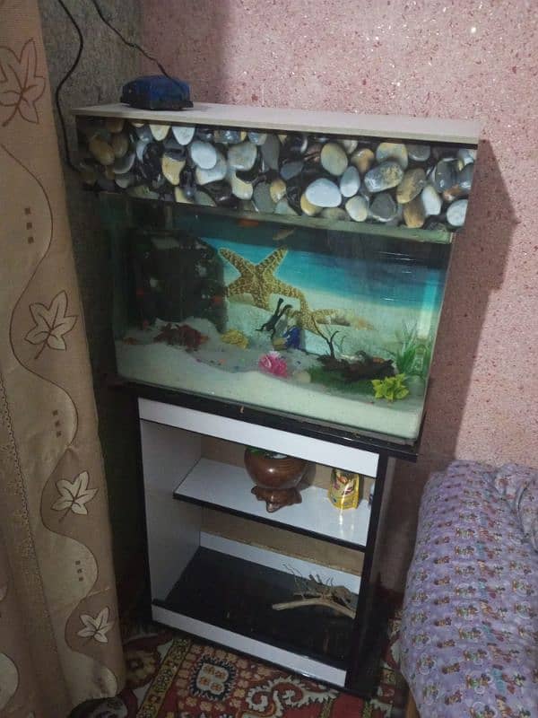 New aquarium for sale+ fishes 0