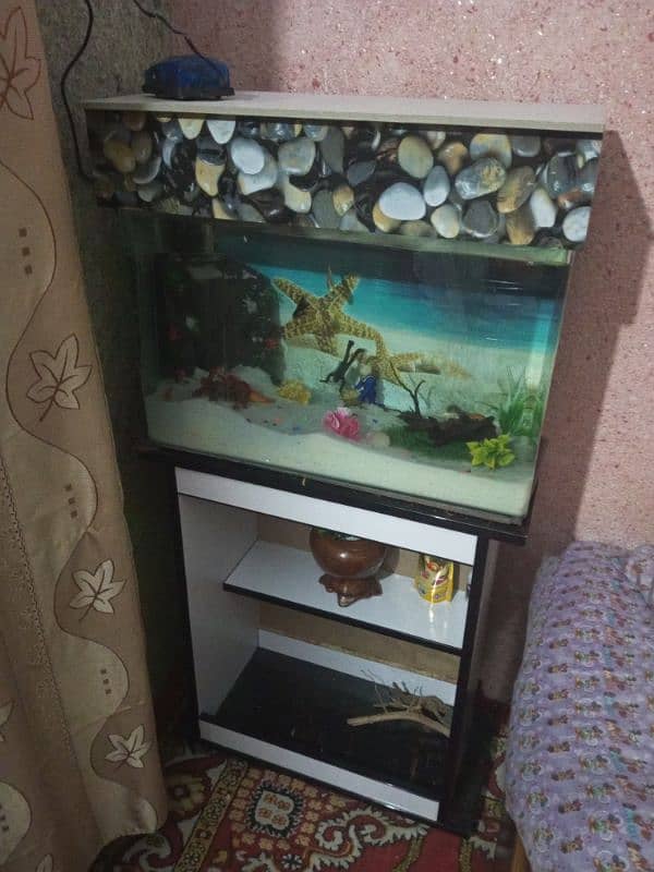 New aquarium for sale+ fishes 1