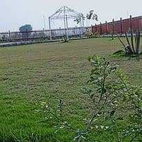 5 Marla Luxury Plot Are Available In Mardan Enclave 5