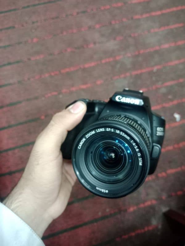 canon 250d with 18 55 lens stm 2