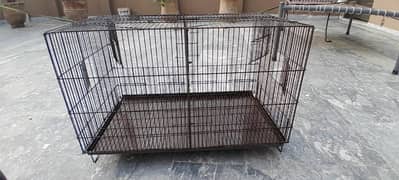 cage for parrots and pigeon