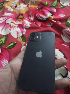 iphone 12 mini