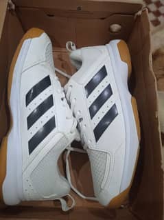 Adidas Ligra 7  Badminton , Squash Non Marking Indoor Court Shoes - 42