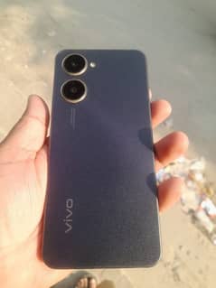 vivo